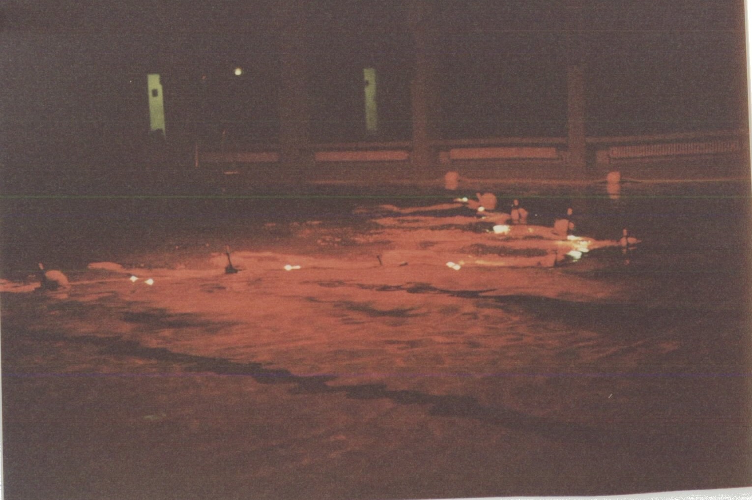 Weihnachtsschwimmen 1989, Bild 1